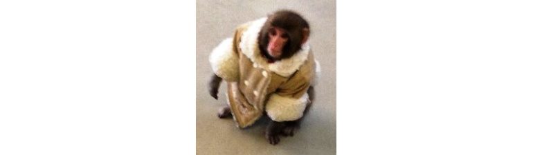 Your agile project without floating scope is still a monkey under a winter coat